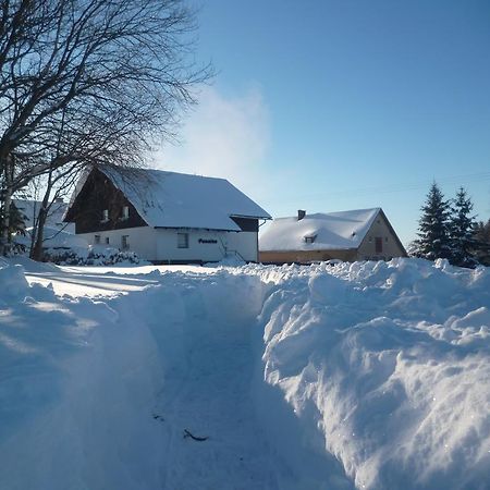 Pension Pugner Vysoké nad Jizerou エクステリア 写真
