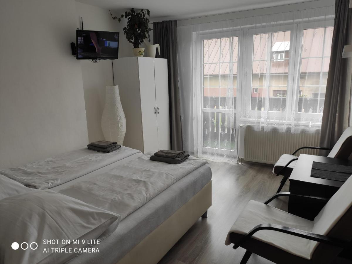 Pension Pugner Vysoké nad Jizerou エクステリア 写真