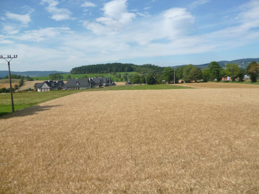 Pension Pugner Vysoké nad Jizerou エクステリア 写真