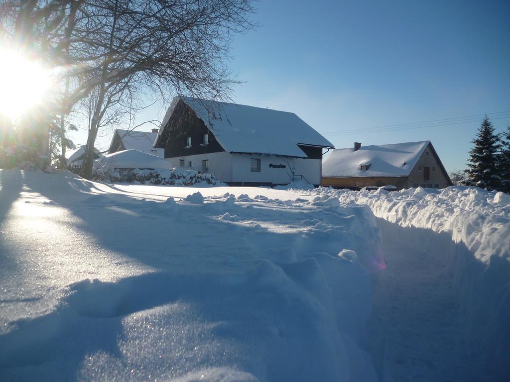 Pension Pugner Vysoké nad Jizerou エクステリア 写真