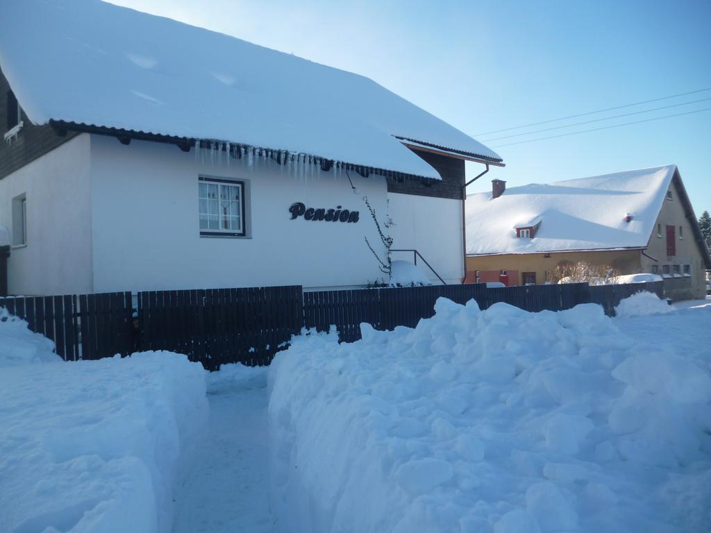 Pension Pugner Vysoké nad Jizerou エクステリア 写真