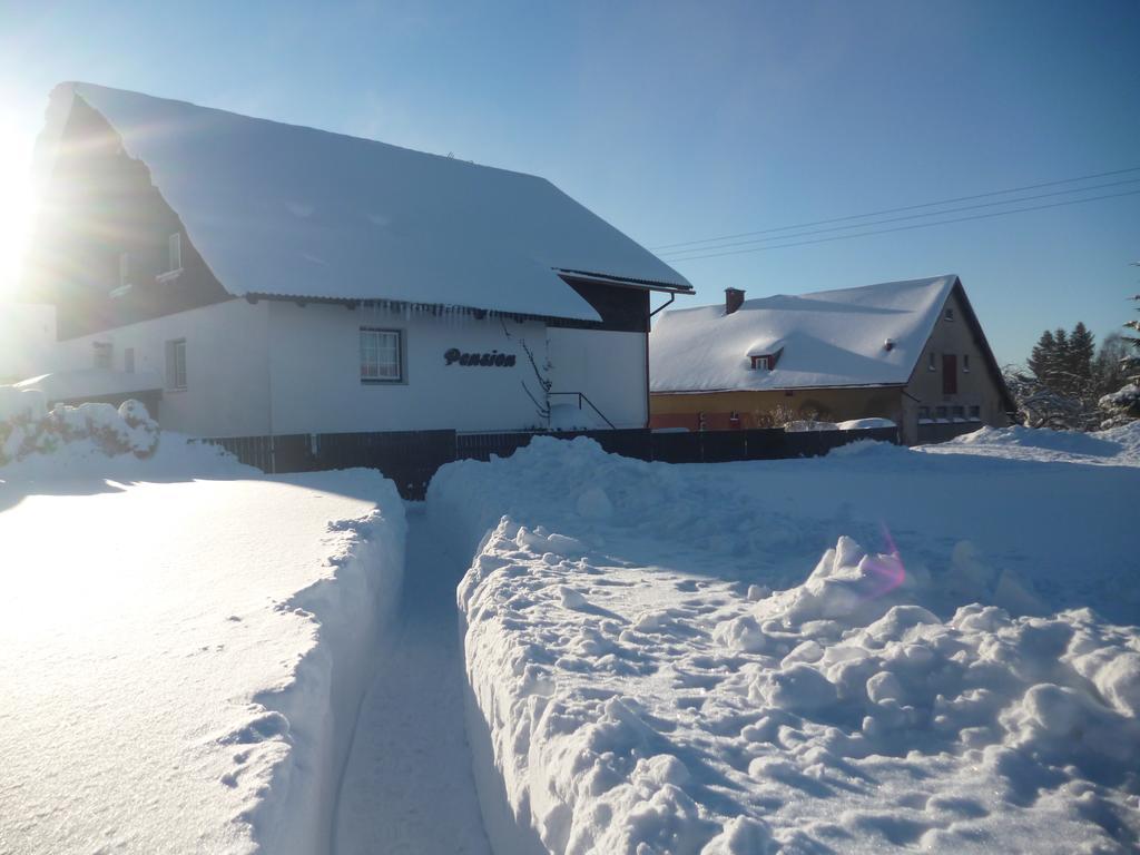 Pension Pugner Vysoké nad Jizerou エクステリア 写真