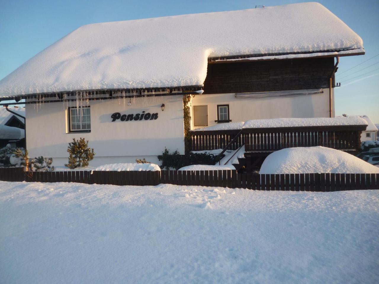 Pension Pugner Vysoké nad Jizerou エクステリア 写真